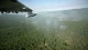 «Сухие» грозы подожгли более 200 гектаров тайги в Туве